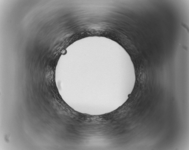 X0000103471061200810100929