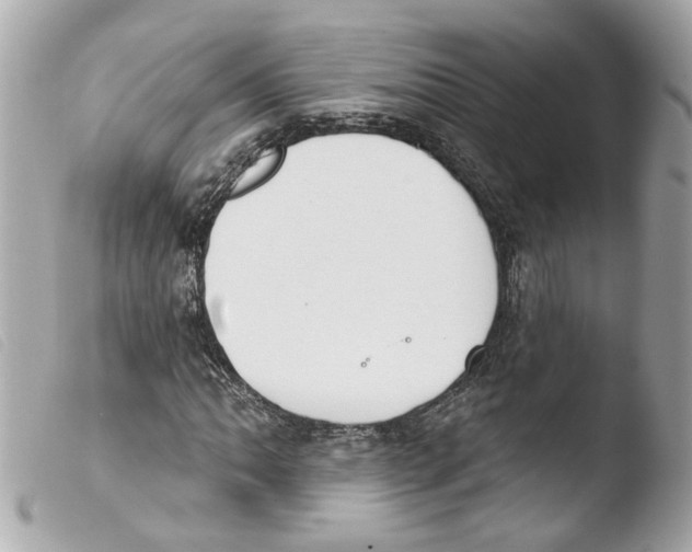 X0000103471062200810100929