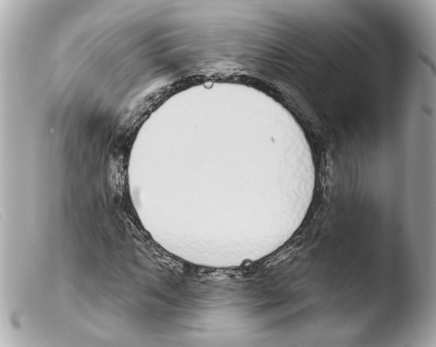 X0000103471063200810100929