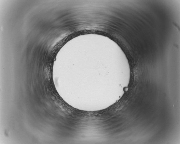 X0000103471064200810100929