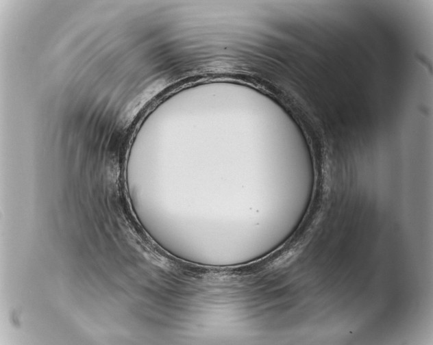 X0000103471065200810100929