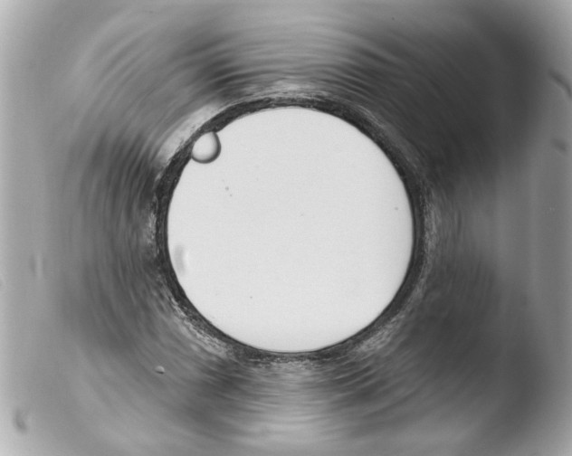 X0000103471066200810100929