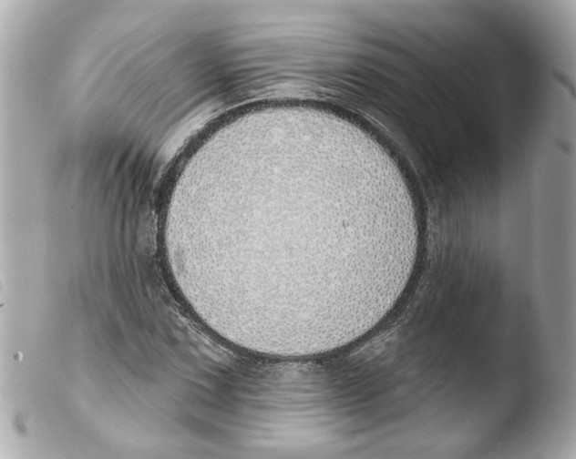 X0000103471067200810100929