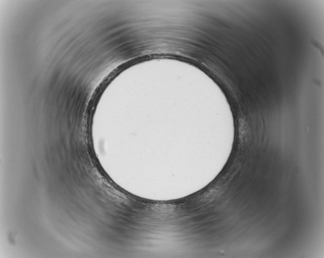 X0000103471068200810100929