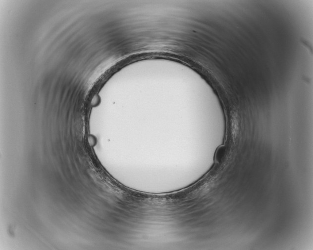 X0000103471069200810100929