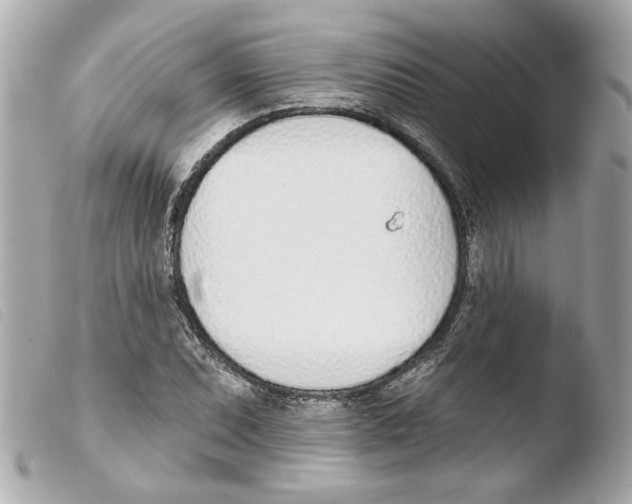 X0000103471071200810100929
