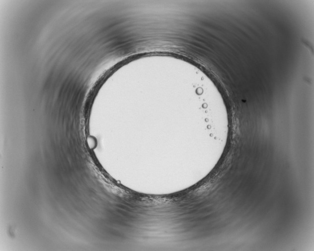 X0000103471072200810100929