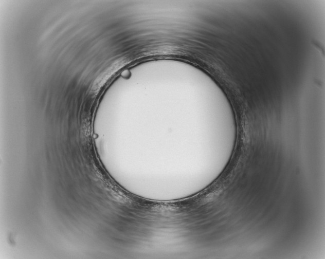 X0000103471073200810100929