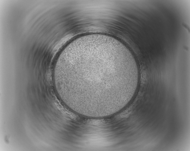 X0000103471074200810100929