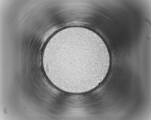 X0000103471075200810100929