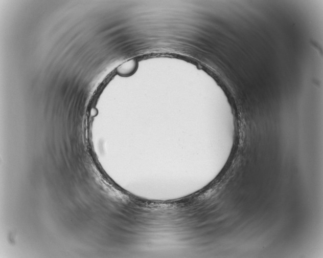 X0000103471076200810100929