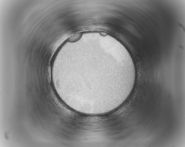 X0000103471079200810100929