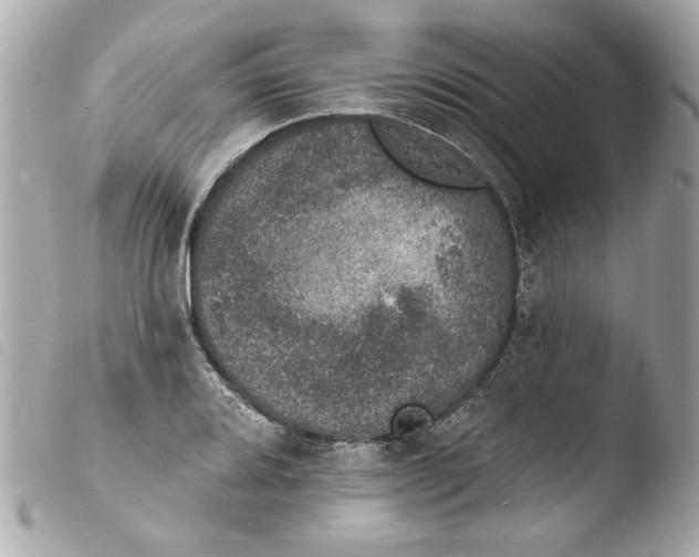 X0000103471080200810100929