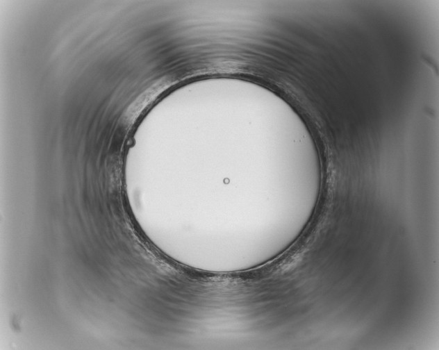 X0000103471081200810100929