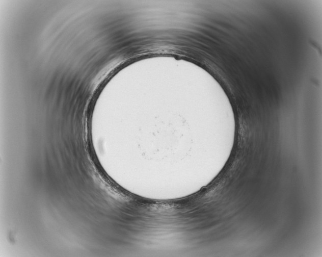 X0000103471082200810100929