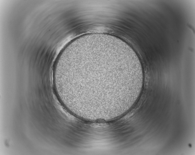 X0000103471083200810100929