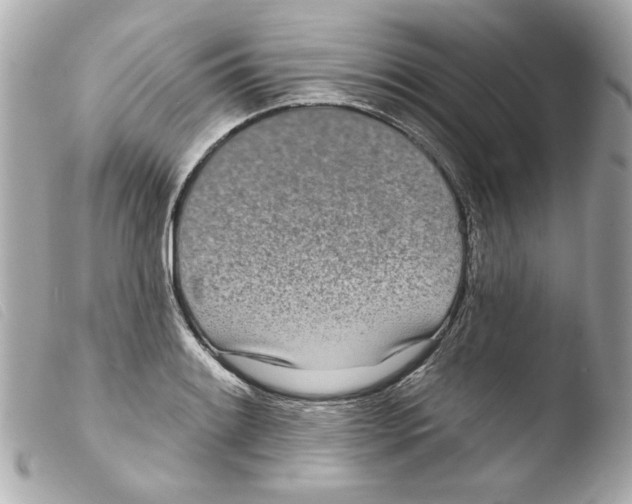 X0000103471084200810100929