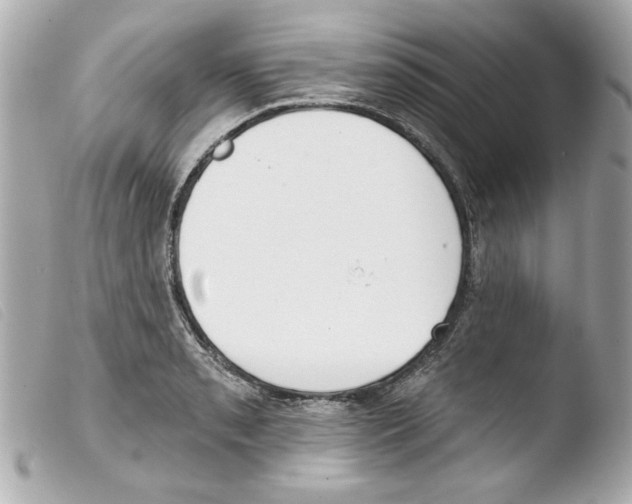 X0000103471085200810100929