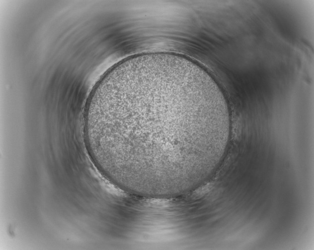 X0000103471086200810100929