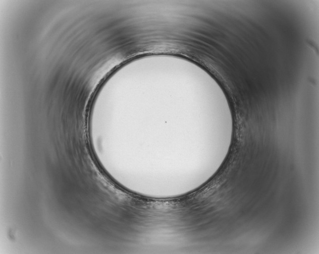 X0000103471087200810100929