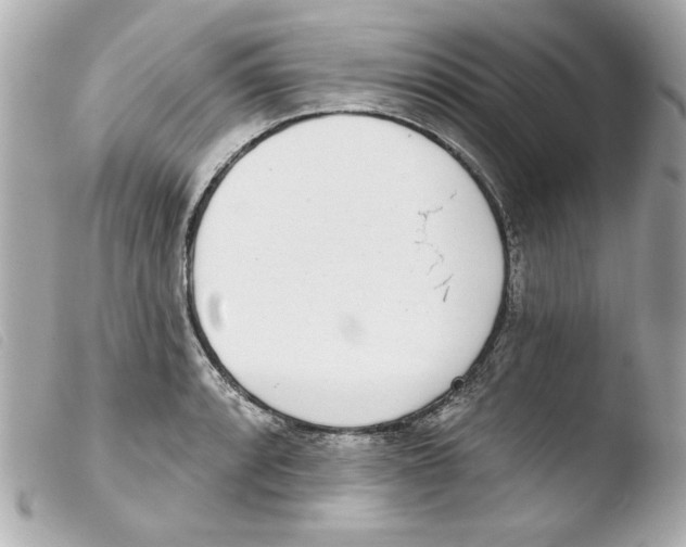 X0000103471088200810100929