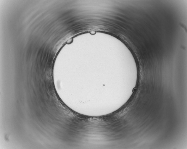 X0000103471089200810100929