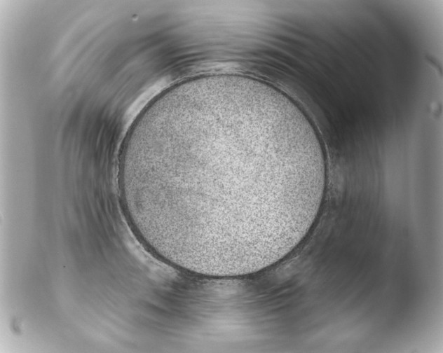 X0000103471090200810100929