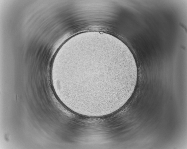 X0000103471091200810100929