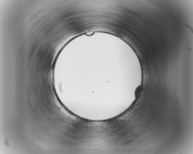 X0000103471092200810100929