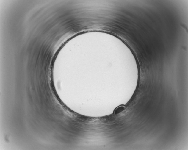 X0000103471093200810100929