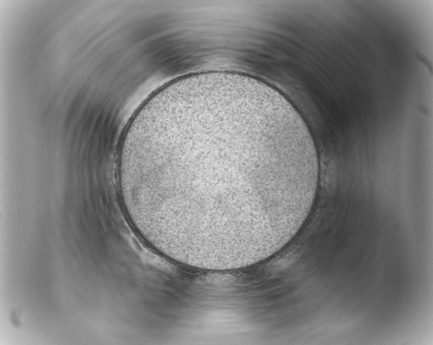 X0000103471094200810100929