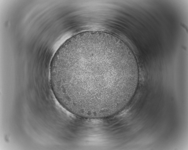 X0000103471095200810100929