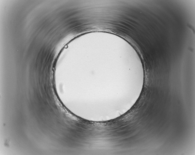X0000103471096200810100929