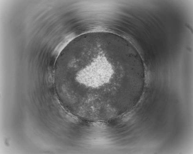 X0000103471097200810100929