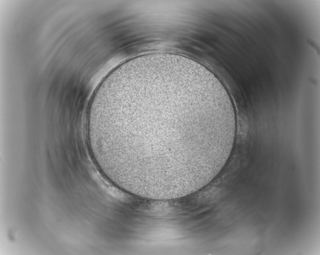 X0000103471098200810100929