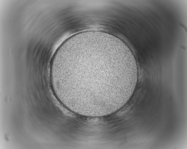 X0000103471099200810100929