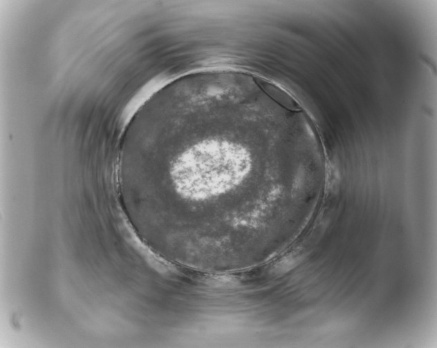 X0000103471101200810100929