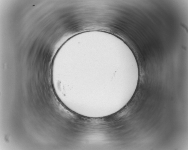 X0000103471102200810100929