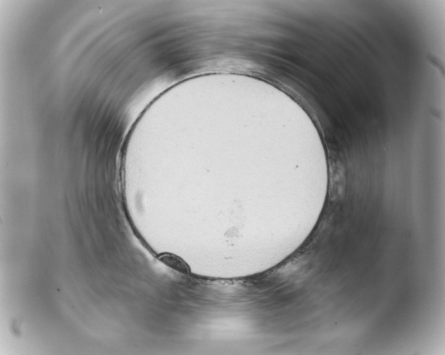 X0000103471103200810100929