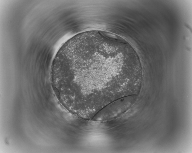 X0000103471104200810100929