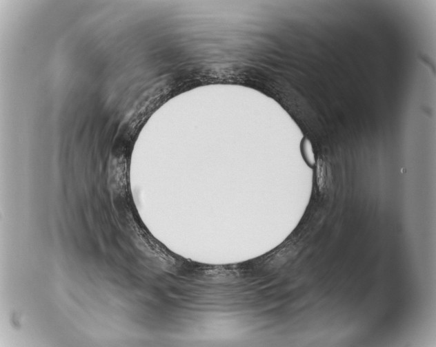 X0000103471107200810100928
