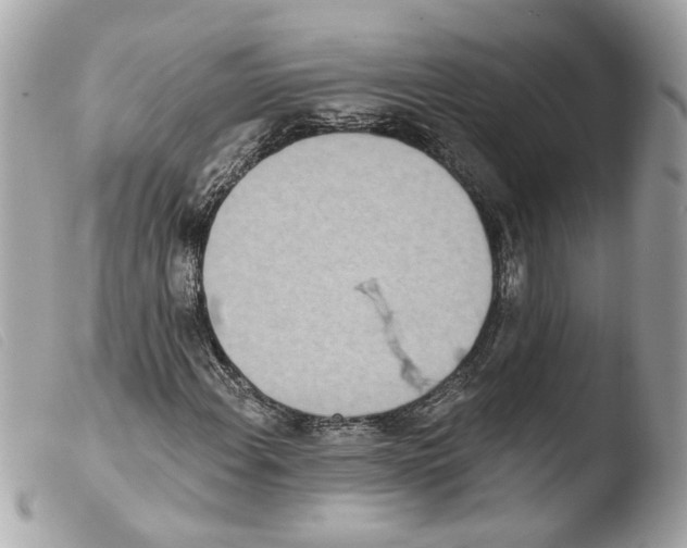 X0000103471108200810100928