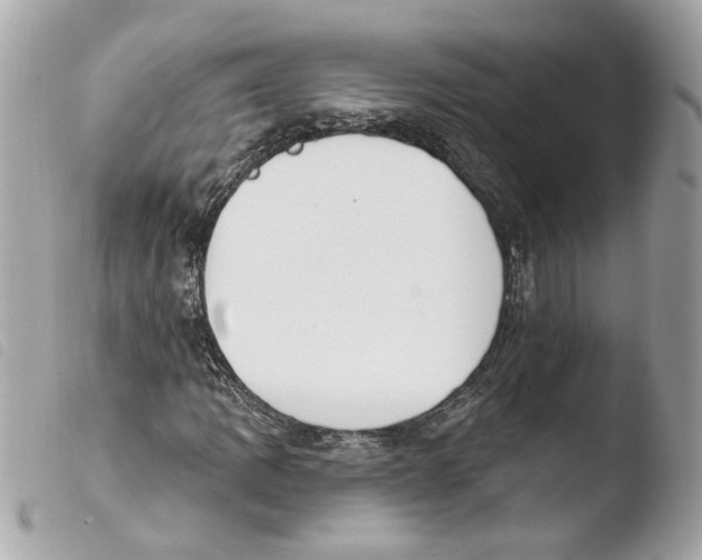 X0000103471109200810100928