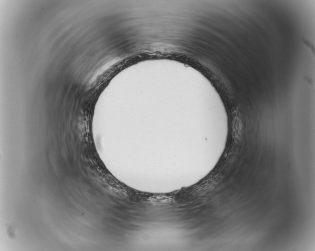 X0000103471112200810100928