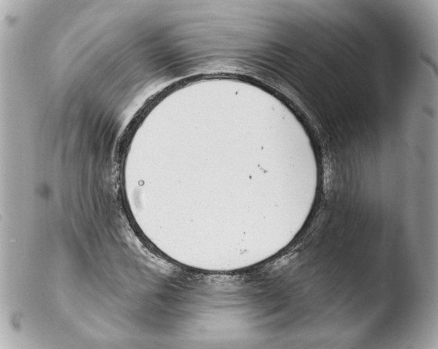 X0000103471116200810100928