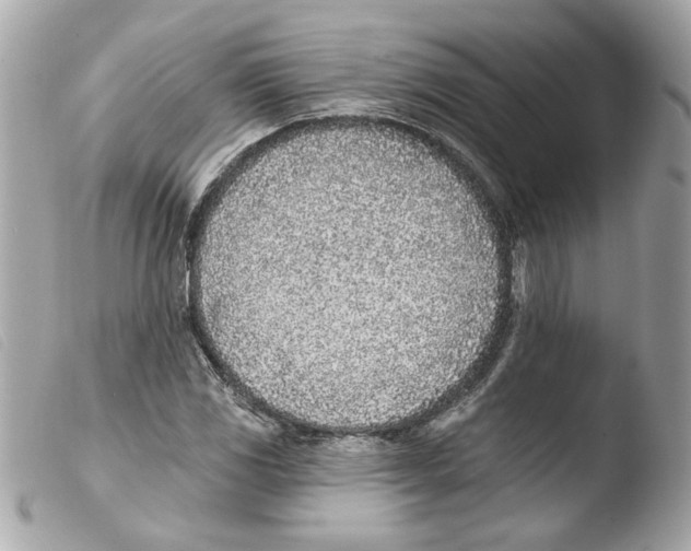 X0000103471117200810100928