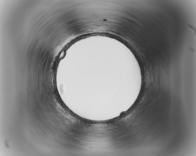 X0000103471118200810100928