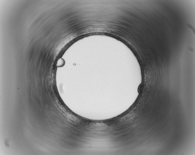 X0000103471119200810100928