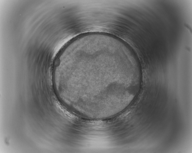 X0000103471120200810100928