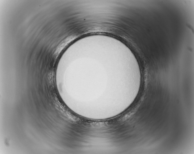 X0000103471121200810100928